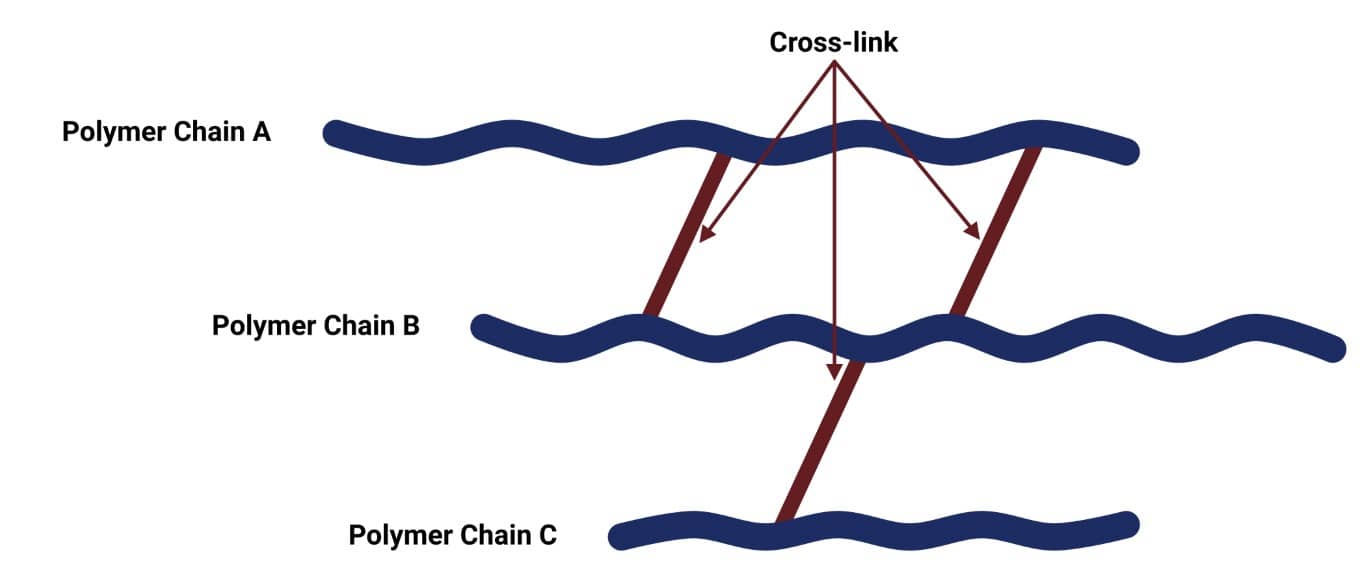 Crosslinks between polymer chains