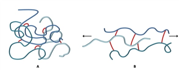 Crosslinked elastic polymer in the relaxed state and after tensile loading